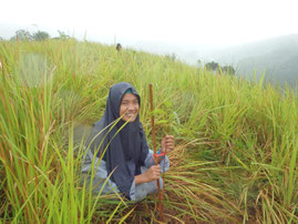 OISCA trainees also helped the CFP activity.