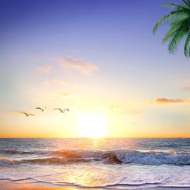 11 Versets Bibliques Sur L Encouragement Vous Permettront D