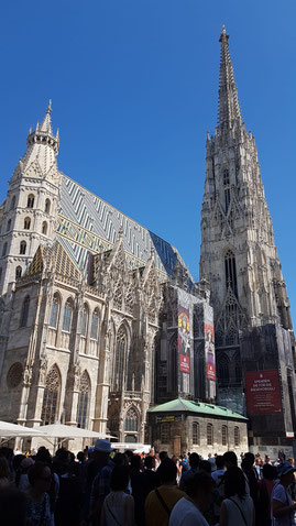 Der Stephansdom