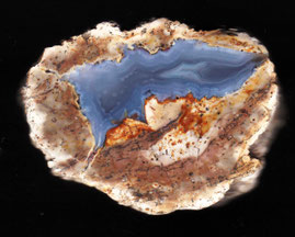 Brezina