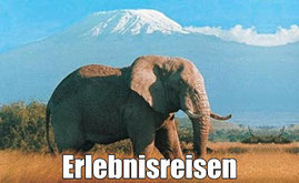 SKR Kleingruppenrundreisen Iran, Costa Rica, Oman, Sri Lanka, Baltikum, Rundreisen am Mittelmeer - Buche beim Experten für Rundreisen in Ferne Länder by Reisebüro Reiselotsen 2025-2026Sommerurlaub 