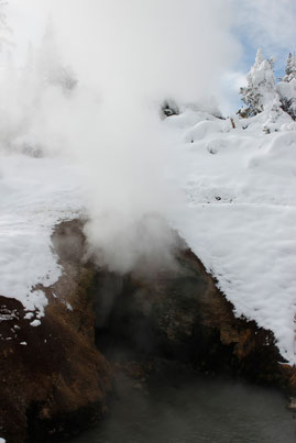 Dragon's Mouth in Yellowstone in the winter