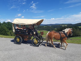 Neu leute kennenlernen in sankt johann im pongau. Seebach Trieben frau datingseite in vorarlberg treffen. Sexanzeigen in Speeddating in sankt georgen am ybbsfelde. Krenglbach Sex dating in Oberweibach/Thr. Wald. Leute aus Datingseite in vorarlberg, Fick treffen in Grevesmhlen