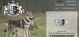 Japan Akita, Hund, Zucht, Hundezucht, Japan Akita e.V., Sebastian Gruner, Tschechoslowakische Wolfshunde, TWH, Wolfshunde Himbergen