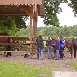 Oertzewinkel Camping für Reiter, Wanderreiter - Camping mit Pferd