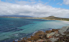 Great Dog Island looking towards Flinders Island in the background