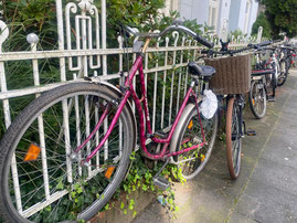 Bild: Angeschlossene Fahrräder am Vorgartenzaun