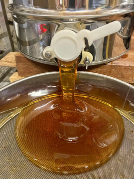 Apiculture naturelle