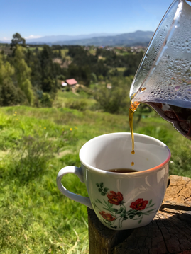 café, café del Tolima. Tolima, cafe en grano, café molido, café de Colombia, cafecito, chocolate, cacao 60%, té verde, te negro, cafe de boyaca, boyaca