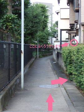 公園から見たところ