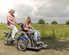 Velo Plus 2 van Raam