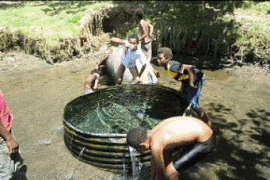 飲み水や水浴びに欠かせない湧水