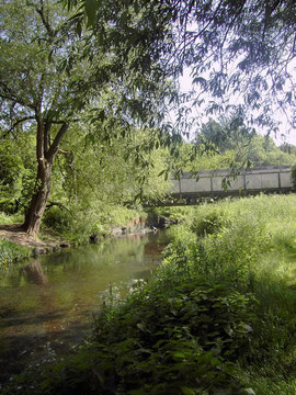 The crossing of the River Cole at Buckland End