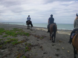 auf dem Weg zum Strand beim 2. Ritt