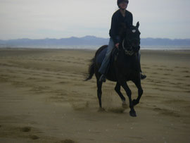 mit Bee am Strand