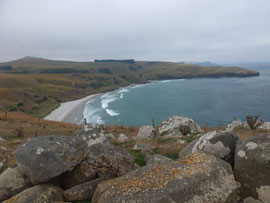 Otago Peninsula