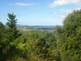 Aussicht von Mount Bledisloe Richtung Reitgebiet