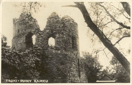 Trakai-pilies griuvėsiai / The Trakai castle rubble