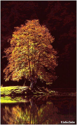 etang de bethmale