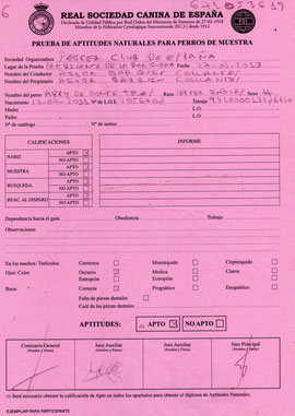 HOJA DE CALIFICACIÓN
