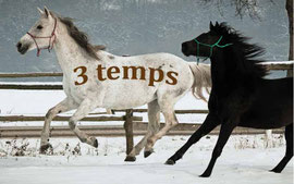 3 temps