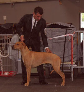 Eyennenga avec Pascal Douis