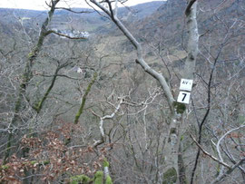 Ahrtal Rotwein Ahrsteig outdoor-pur