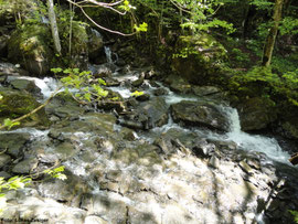 Mühlebach