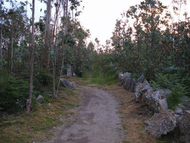 Chemin vers le Cap.