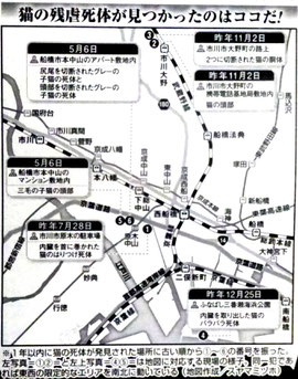 千葉 船橋 市川　猫の残虐死体が見つかったのはココだ！