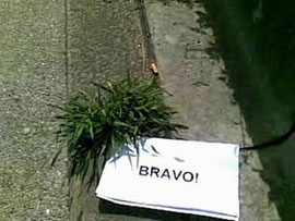 bravo! good job! well done! Hanna Schimek