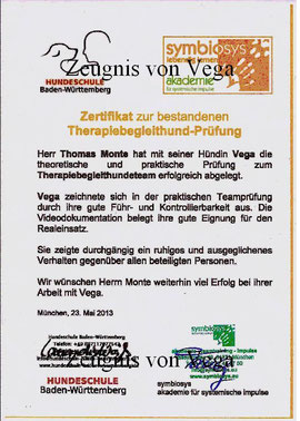 Zeugnis Vega Schulhund Therapiehundeteam Monte