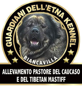 Benvenuti su Guardiani dell'Etna