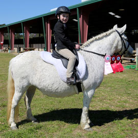 horse shows are fun and give students a feel of accomplishment