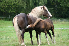 Fiona und Mimi