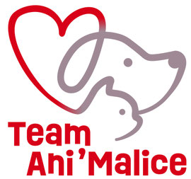 Team Ani'Malice - Pédagogie & Animation assistée par l'animal