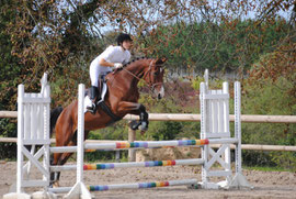 Zorban (kwpn) et moi en concours 2010