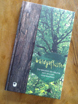 Waldgeflüster das Buch