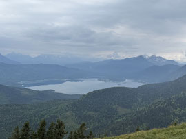 Mein Highlight - der Blick auf den Walchensee