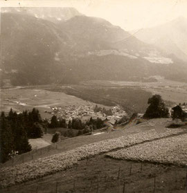 Blick vom Wiesflecker-Kerschbaum