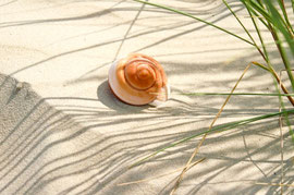 © Hofschlaeger-pixelio.de