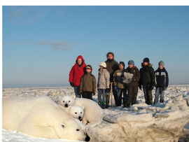 Eisbären in Finnland