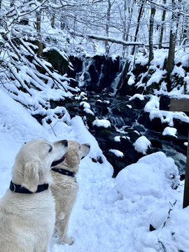 Wasserfall - Teufelsmühle bei Bischofsheim in der Rhön