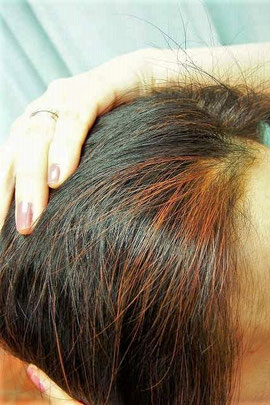 部分シコン色