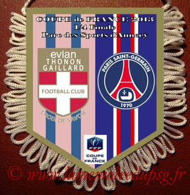 Fanion Evian TG-PSG  2012-13