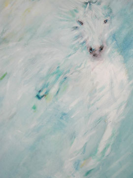 Wildes Pferd (Öl auf Leinwand)