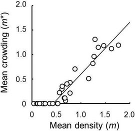 Figure 2.  Relationship between mean crowding (m*) and mean density (m) of Macrodasyceras hirsutum eggs per fertilized seed of Ilex integra at the scale of tree.  Circles represent Ilex integra trees examined between 2008 and 2012.