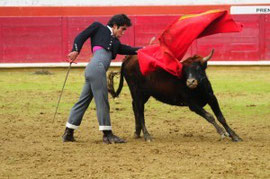 J. Manuel Sandín tentó en la plaza de Estella 13 machos de Alba Reta