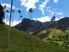 MTB Woche Tour Valle de Cocora Fahrrad Kolumbien