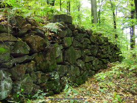 Die Scheuchenmauer bei Langburkersdorf